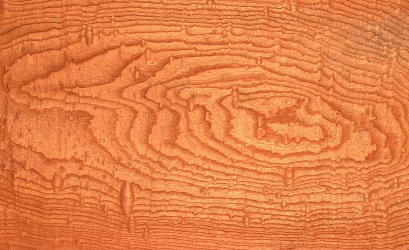 Ценные породы дерева текстура