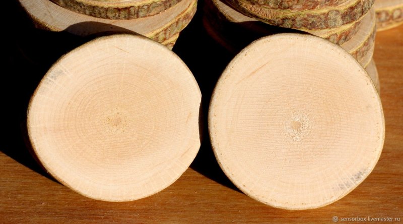 Спил орешника