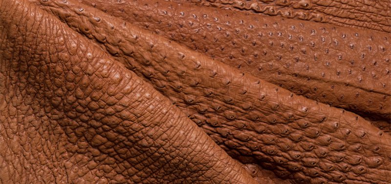 Кожа страуса