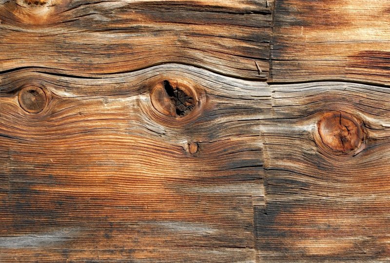 Фактура дерева