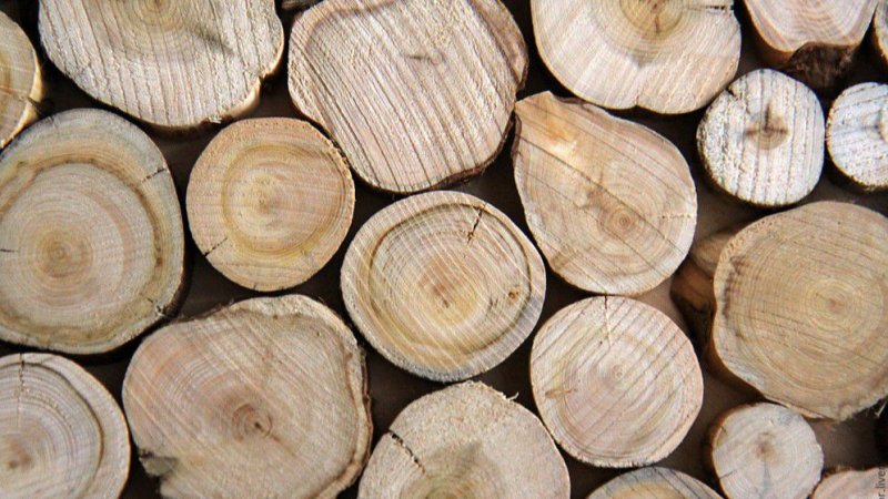 Сруб дерева