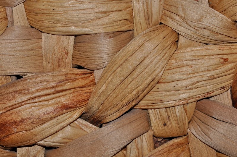 Дерево материал