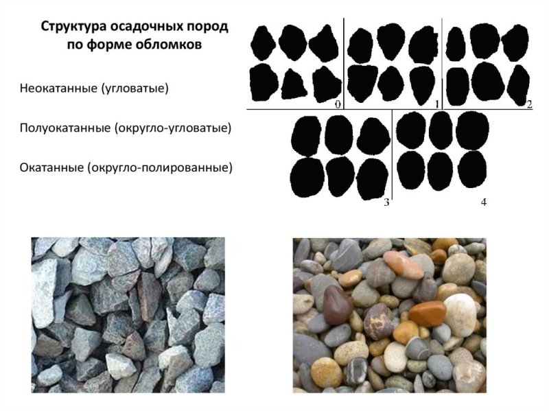 Структура осадочных горных пород