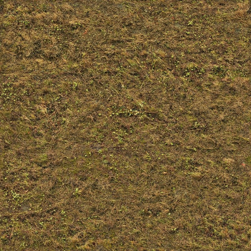 Текстура земли