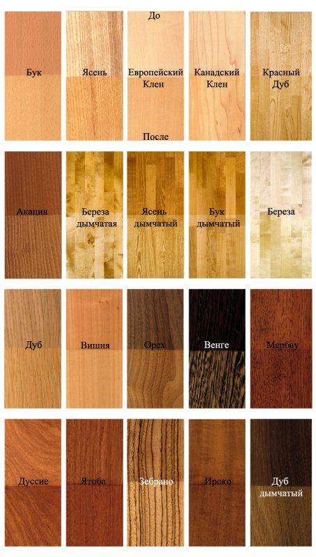Древесина разных пород