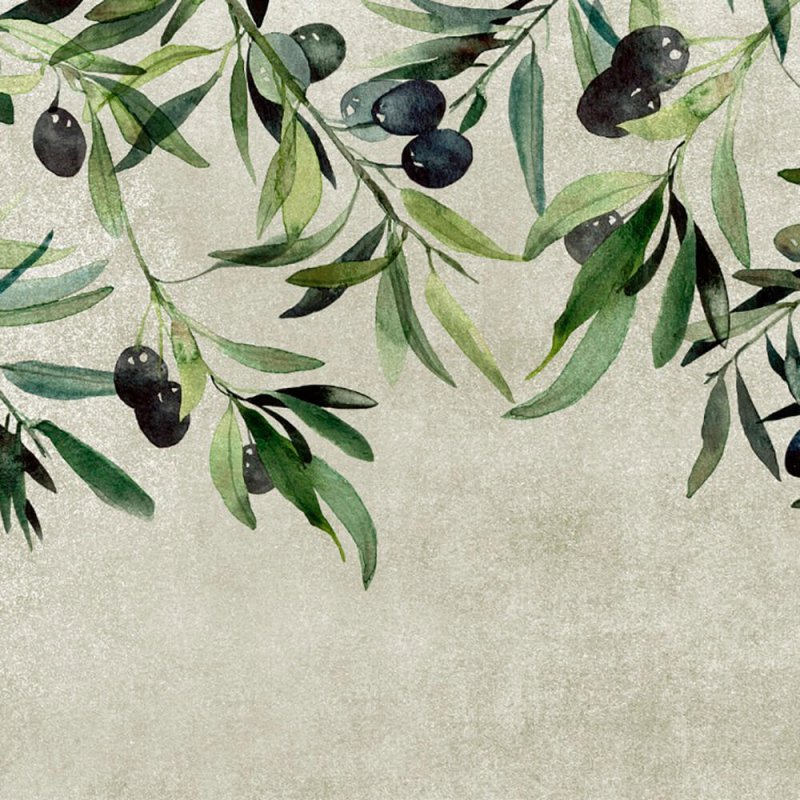 Фотообои оливки