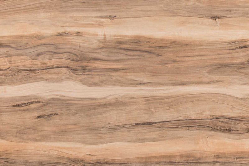 690 Индийское дерево кедр