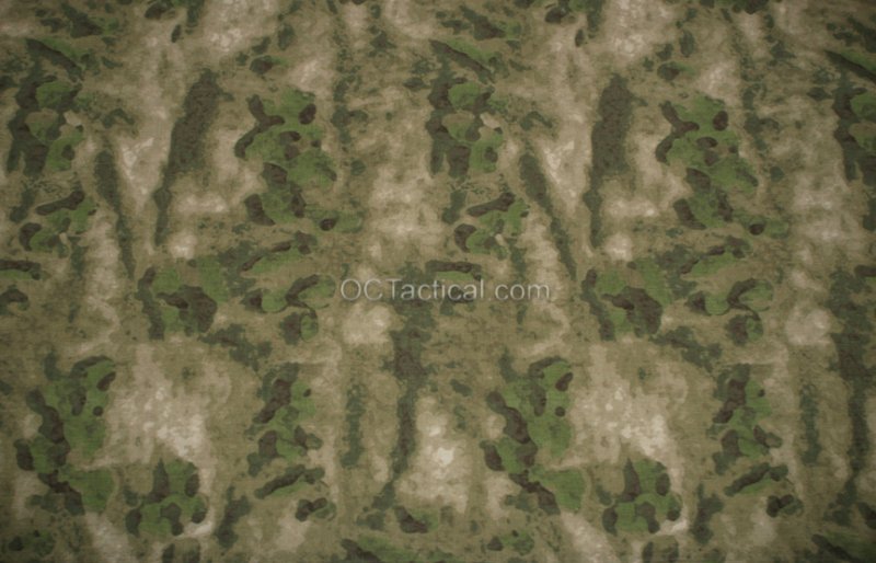 Паттерн ATACS FG