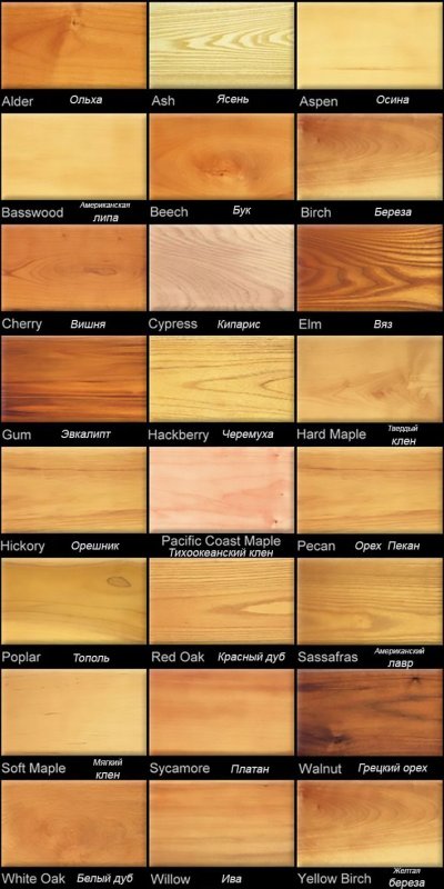 Цвета разных пород дерева