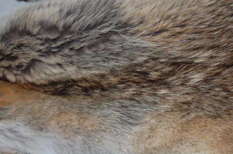 Натуральный мех волка