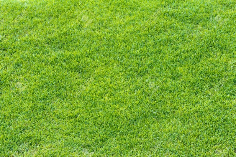 Бесшовная трава 3д Макс