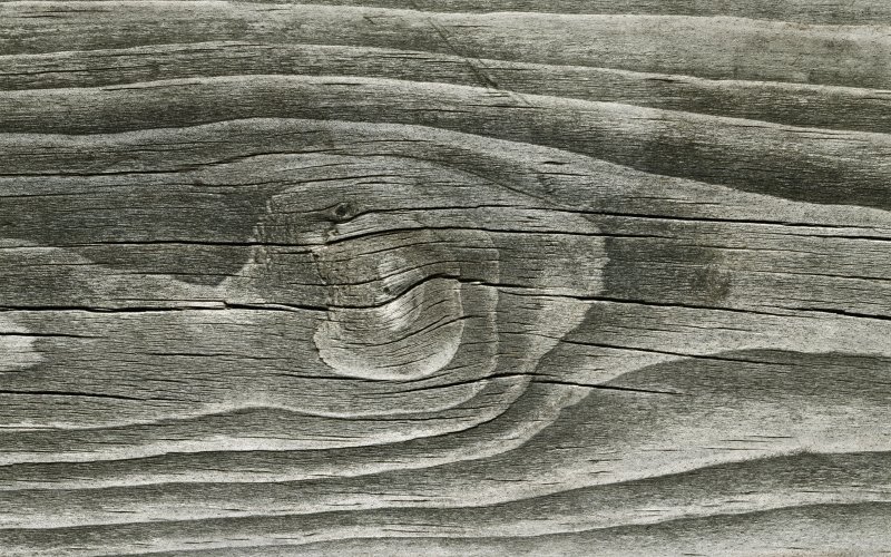 Фактуры дерева в графике