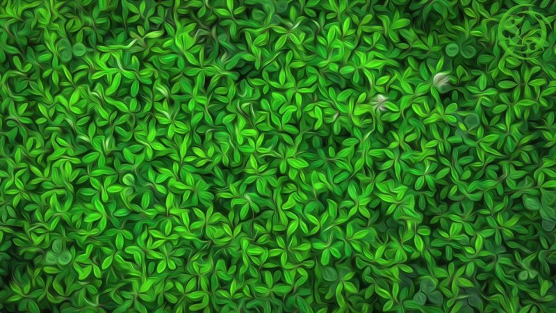 Красивый зеленый