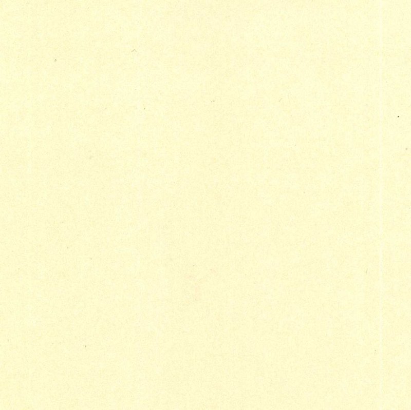 Слоновая кость текстура