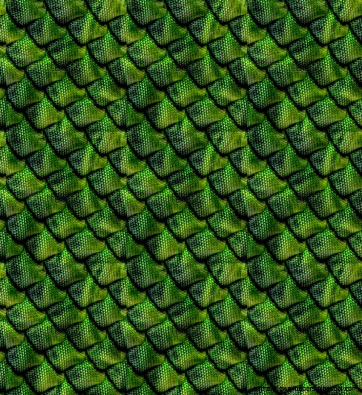 Зеленая чешуя дракона