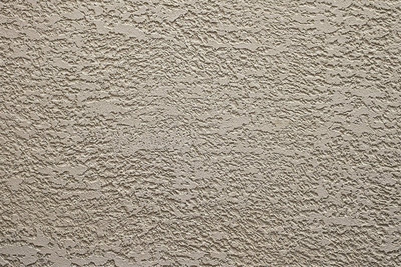 Короед Террако