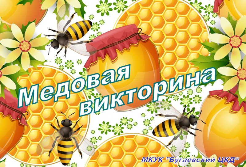 Пчелиные соты с медом