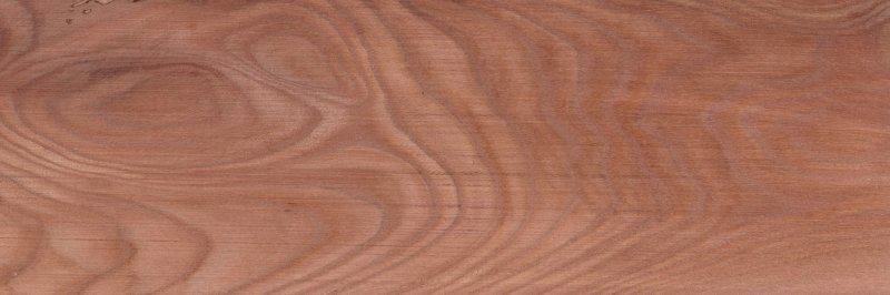 Карагач вяз спил