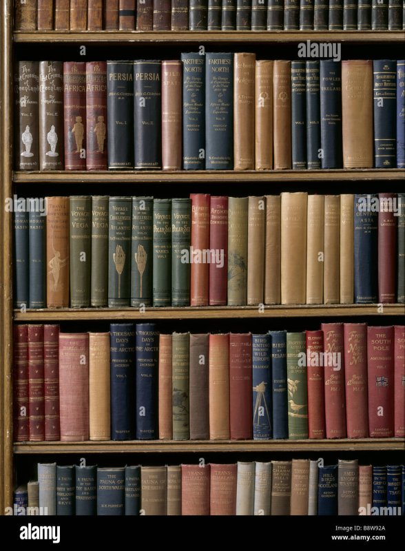 Старинный стеллаж с книгами