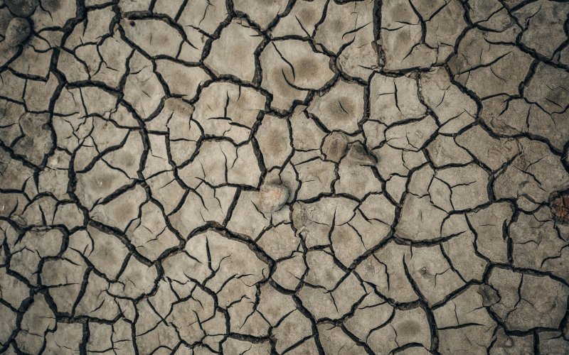Потрескавшаяся земля