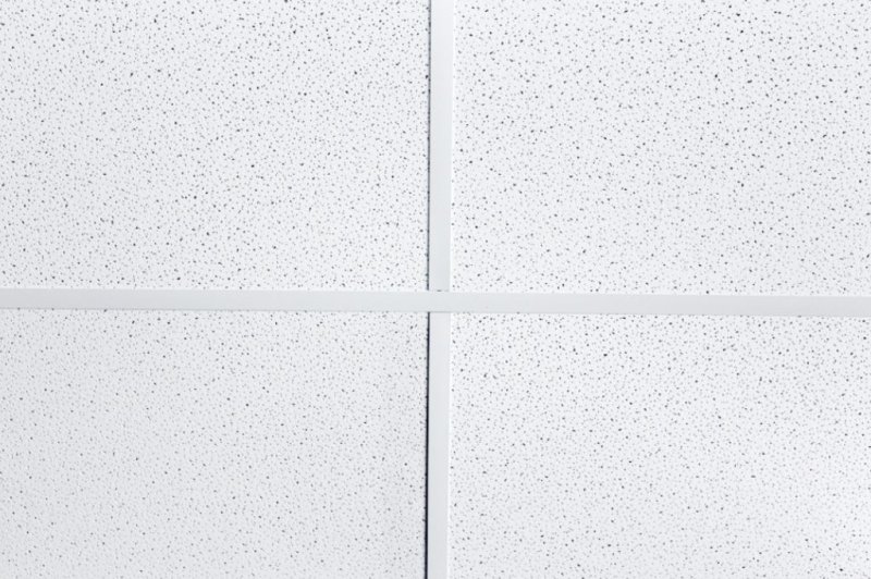 Армстронг 3d Max