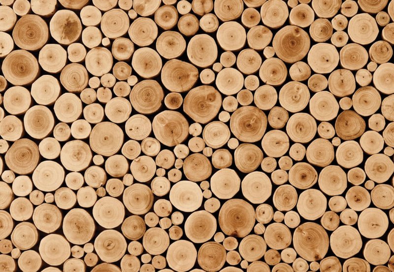 Спил дерева