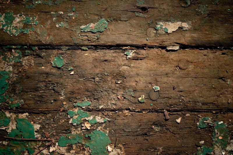 Гнилое дерево