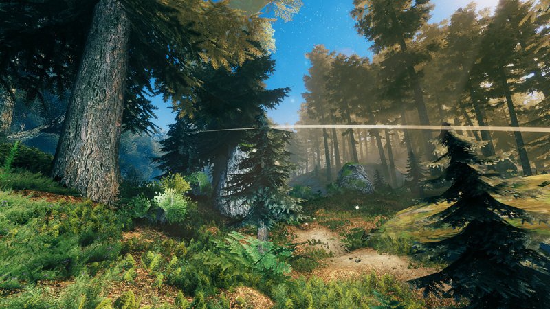 Графические моды Valheim