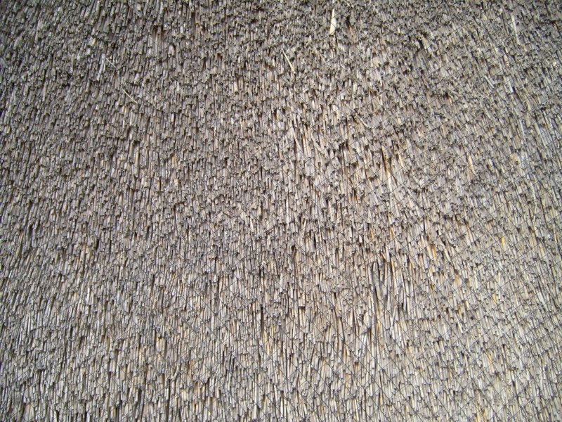 Камышовая крыша текстура