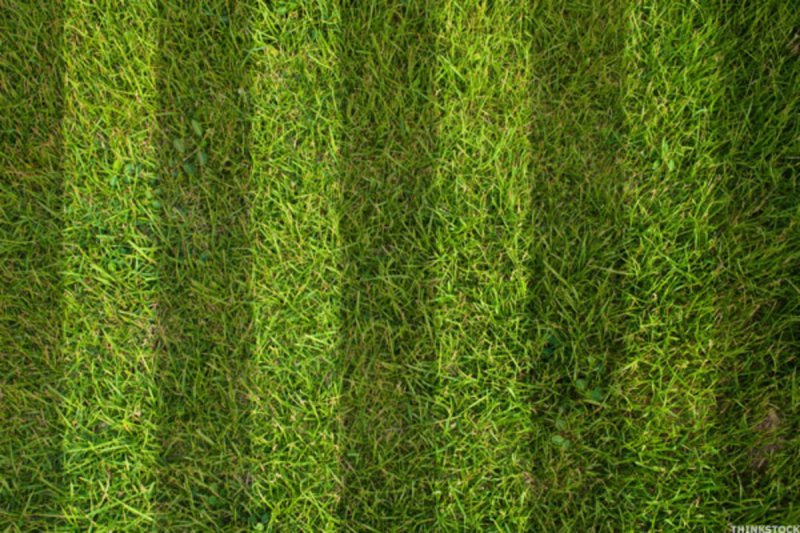 Футбольный газон трава