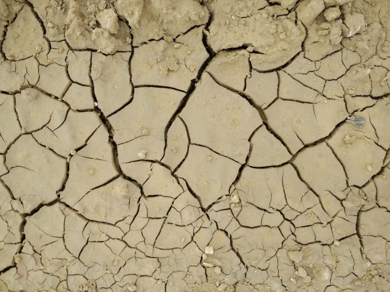 Текстура потрескавшейся земли