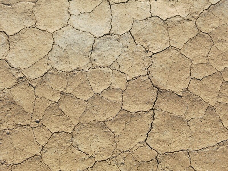 Сухая земля текстура