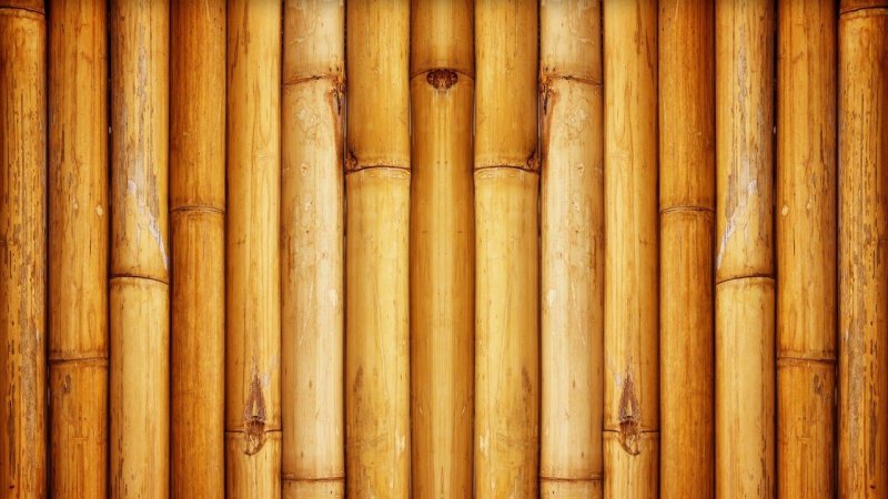Бамбук паттерн