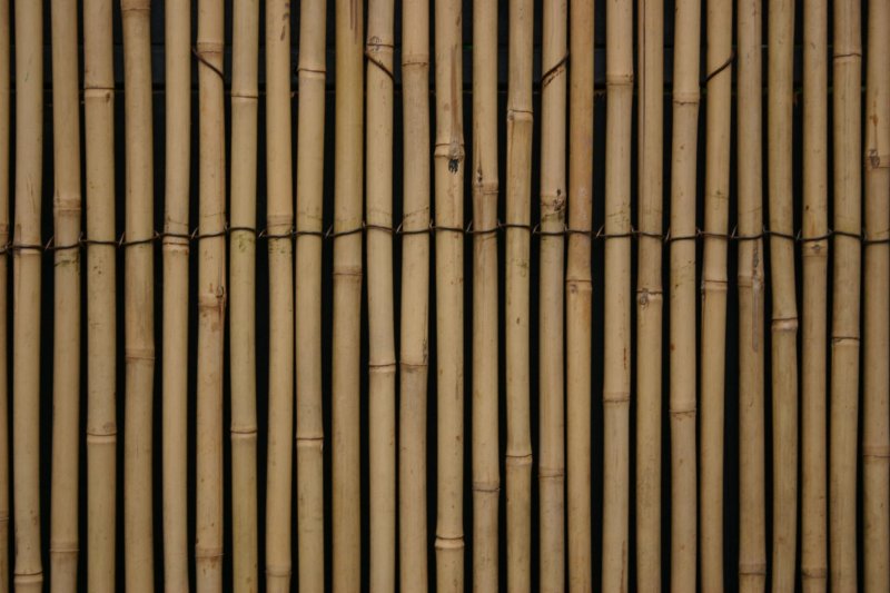 Бамбук текстура