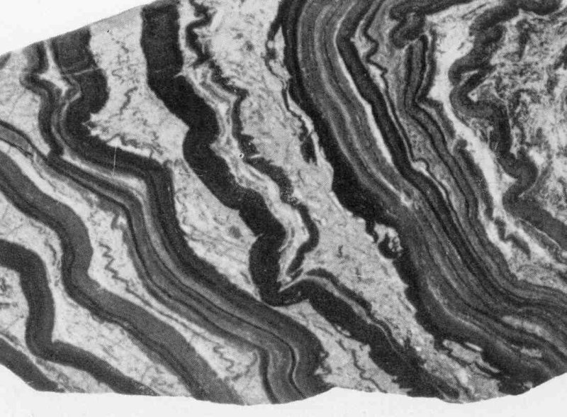 Плойчатая текстура метаморфических