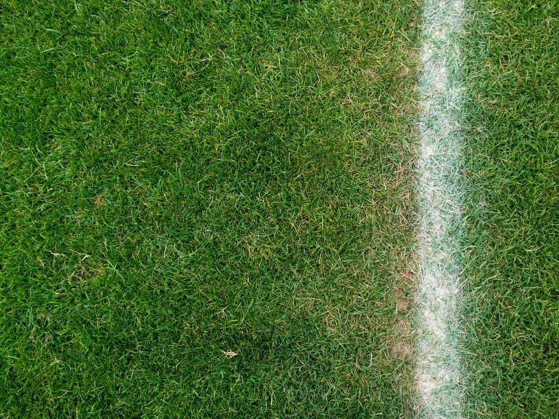 Футбольный газон