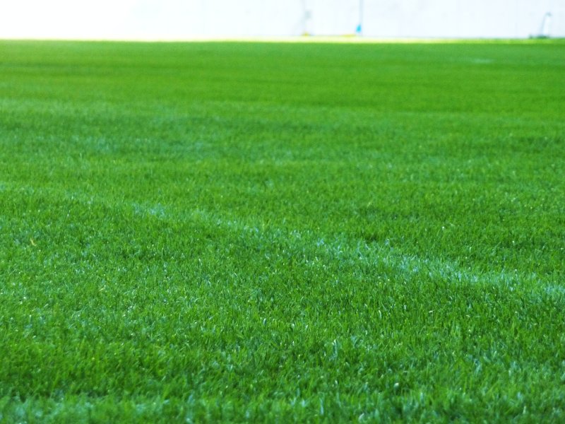 Зеленый газон на футбольном поле