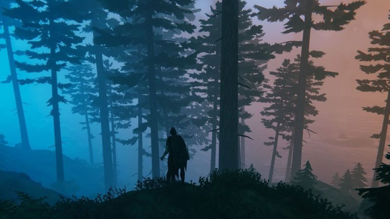 Valheim Black Forest