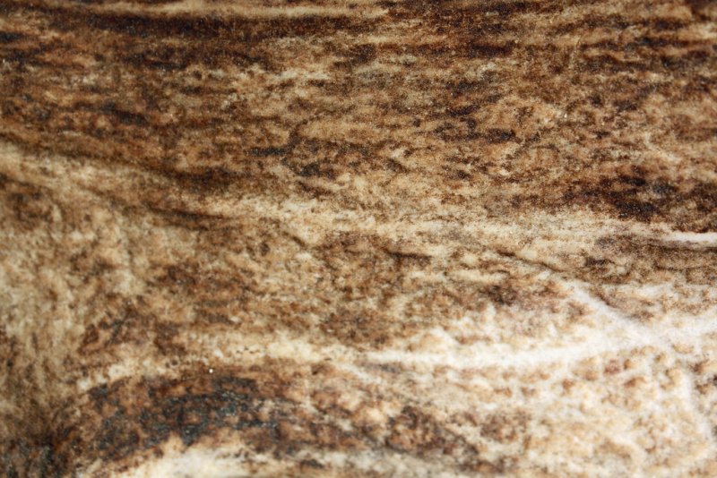 Текстура рога