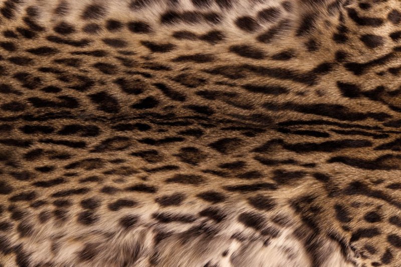Мех оцелота