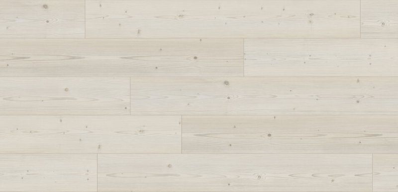 К4416 ель беленая