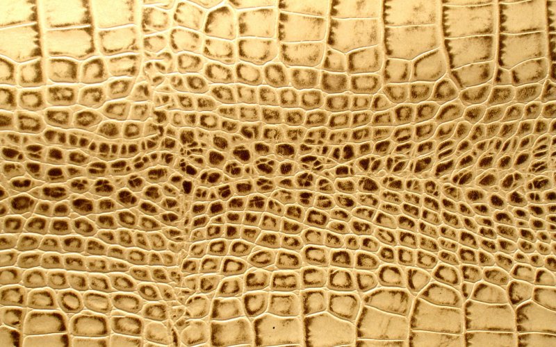 Крокодилья кожа текстура