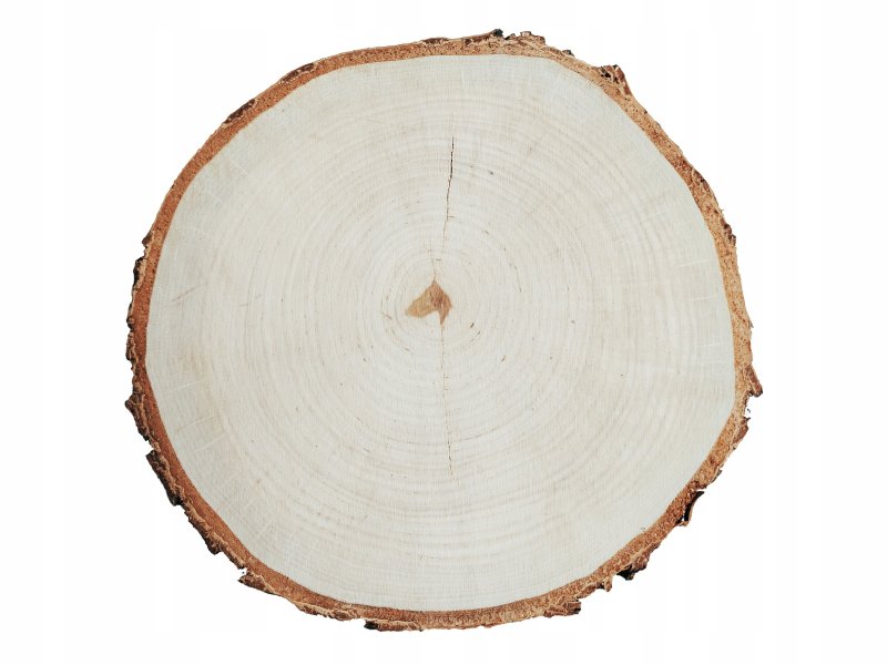 Кусок дерева