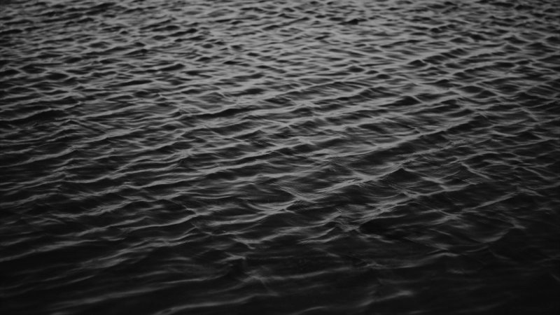 Черная вода