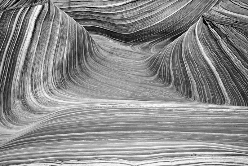 Черно белая фактура