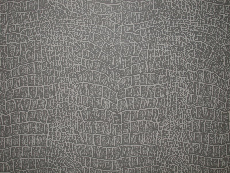 Текстура кожи