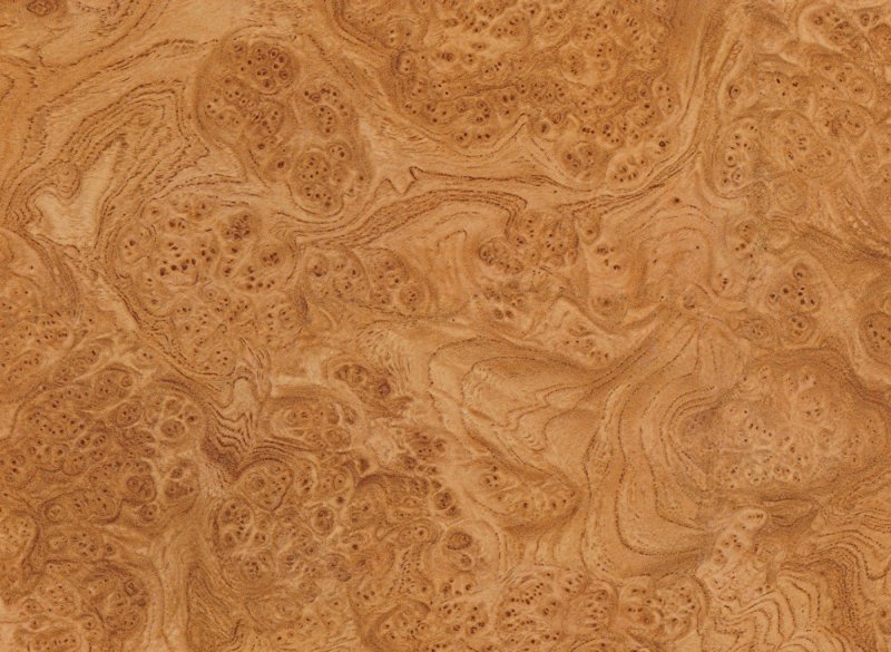 Скиф корень вяза 167