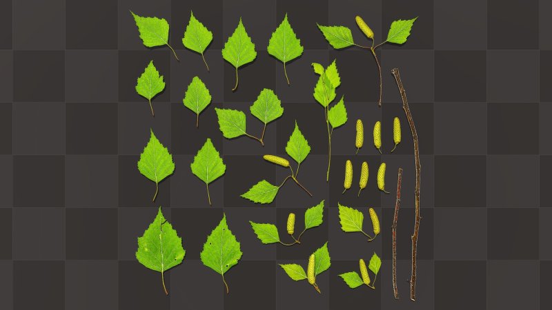 Jhyfvtyn BP ,th`PJDS[ kbcnmtd