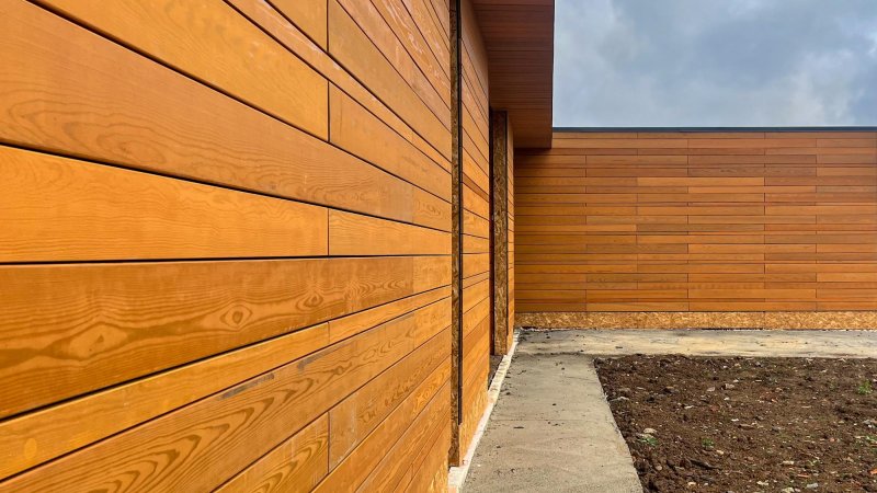 Планкен ромбус из лиственницы