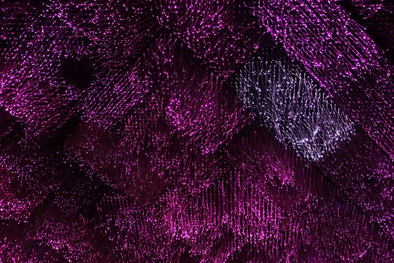 Пурпурная ткань